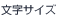 文字サイズ
