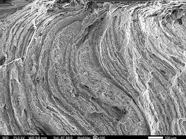 Surface condition analysis by SEM