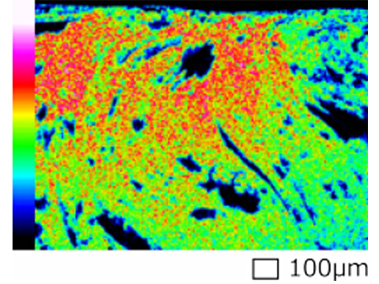 EDSによる元素分析