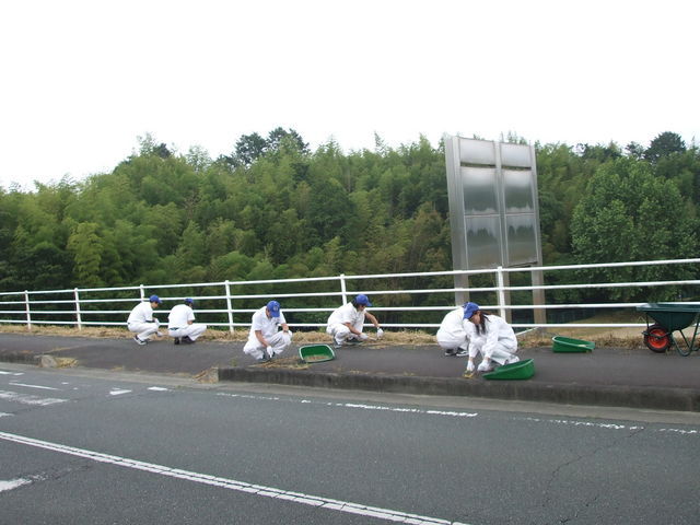 歩道周りの雑草も取りました