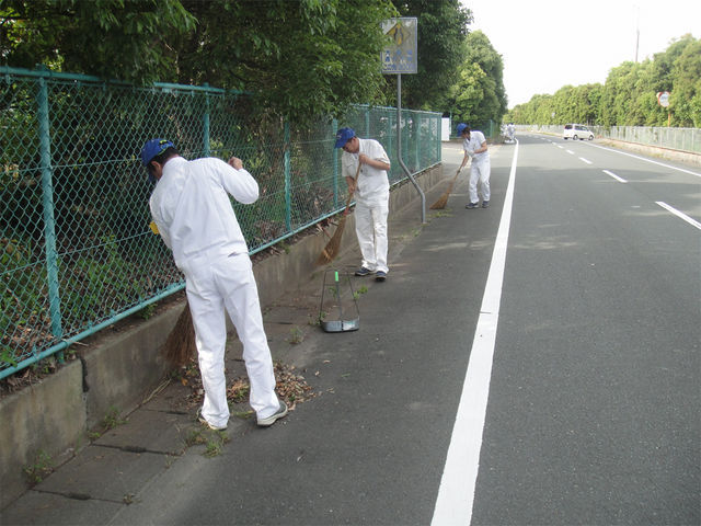 外周には枯葉が山積でした