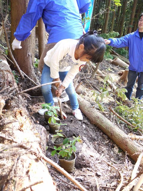 最後は子供達と一緒にコナラの苗を植樹