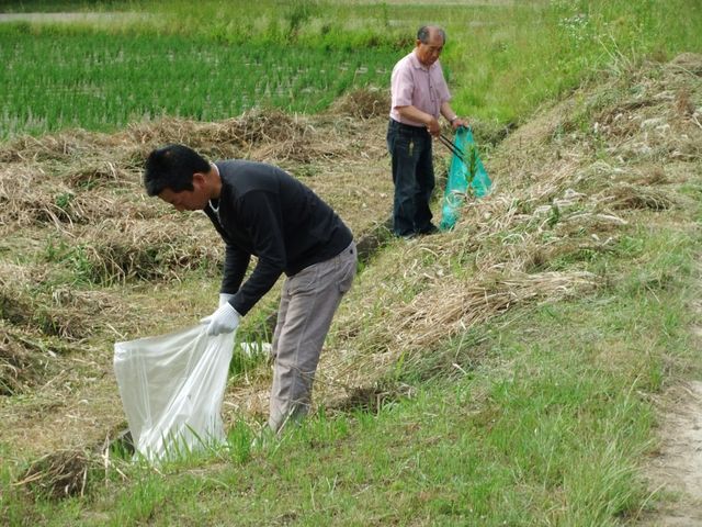 地域住民の方と一緒に田んぼの土手のゴミ拾い