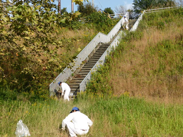 公園のゴミ拾い