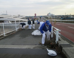 歩道の草取り