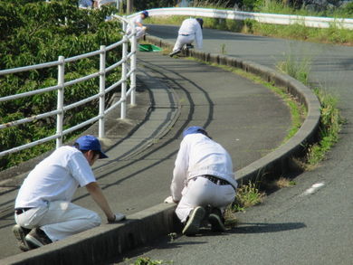 本社/技術研究所/生産技術センター　外周道路の草取りやゴミ拾いをしました