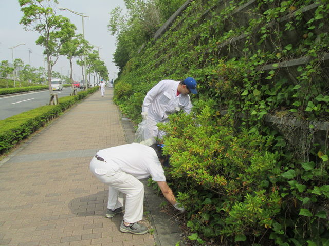 浜北工場　外周道路のゴミ拾いをしました