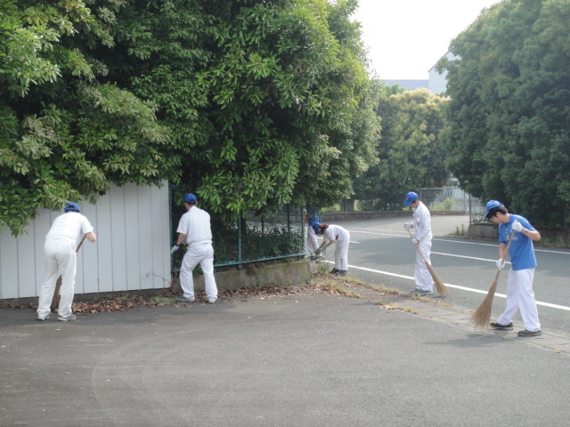 竜洋工場　外周道路に枯葉がたくさん溜まっていました