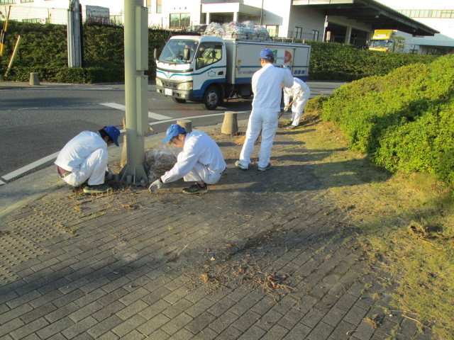 除草をしたら後始末も忘れません☆