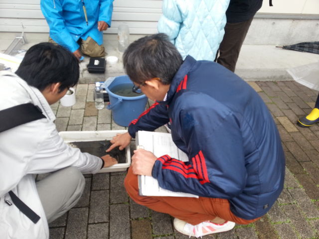 湖底の土や石を掘り出して観察