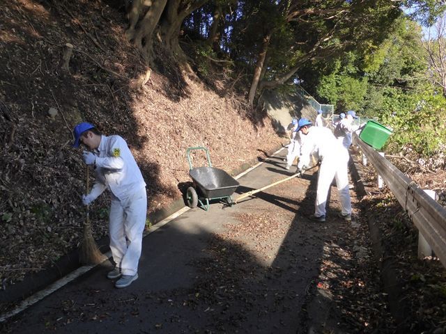 道路全体が枯葉に覆われていました