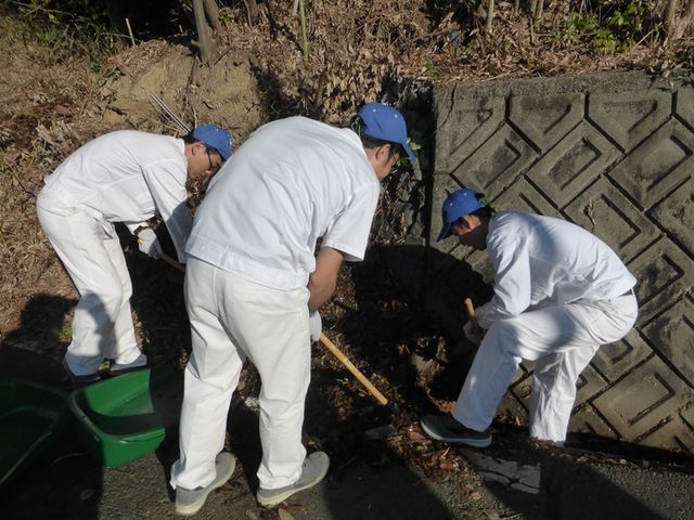 側溝の枯葉を取り除きます