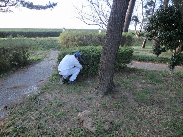 植木の根元にゴミ発見！