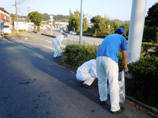 道路脇植栽の根元にゴミが隠れています