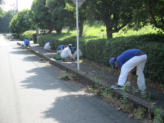 技術研究所　周辺道路や公園の草刈りやゴミ拾いをしました