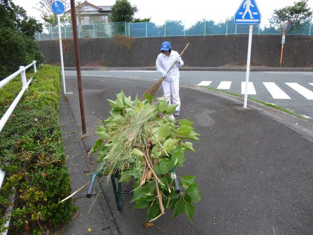 【本社】歩道に伸びていた樹木を伐採しました