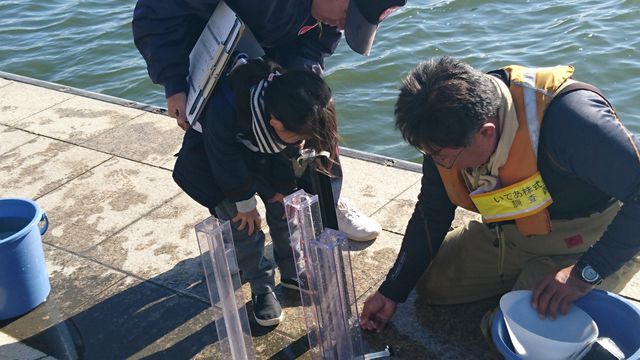 透明度計で湖水の透明度をチェック