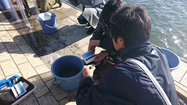 色見本でDO（溶存酸素）の確認