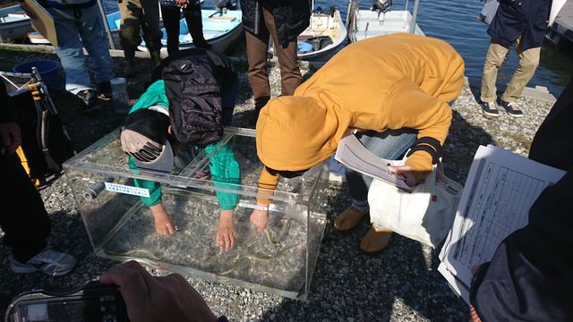 佐鳴湖の天然ウナギを触らせてもらいました！