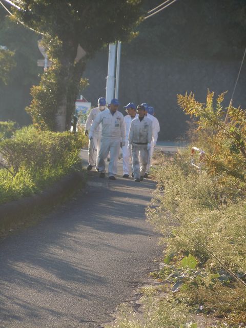 通勤道路でもある国道の歩道もきれいにしました