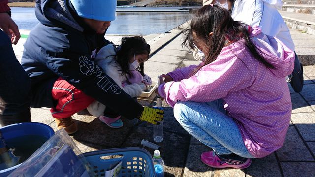 注射筒とろ紙で湖水をろ過