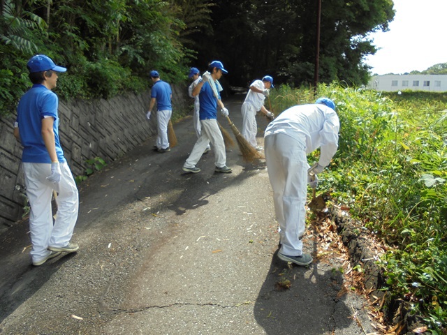 世界環境デーに合わせ全社で清掃活動を実施しました