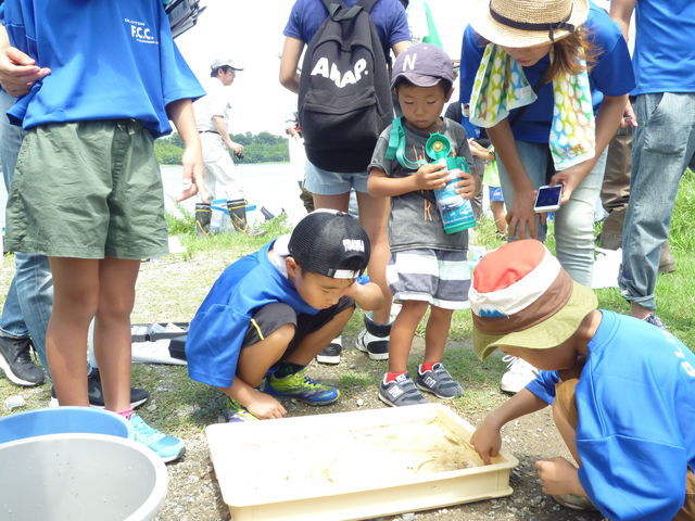 タモ網に掛かった湖の生き物たちに触らせてもらいました。