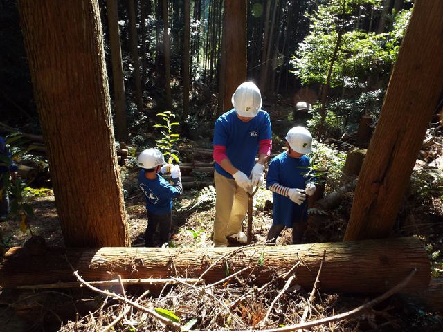 家族で広葉樹の苗を植えました