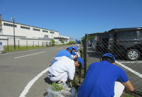 【鈴鹿工場】周辺道路の草取りやゴミ・落ち葉拾いをしました