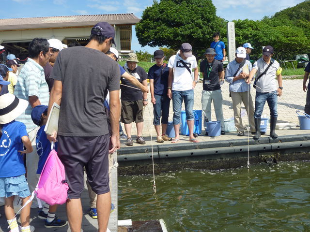 沈めた円盤がどれくらいの深さまで見えるか、観察中！