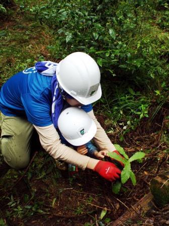 親子でどんぐりの苗を植樹