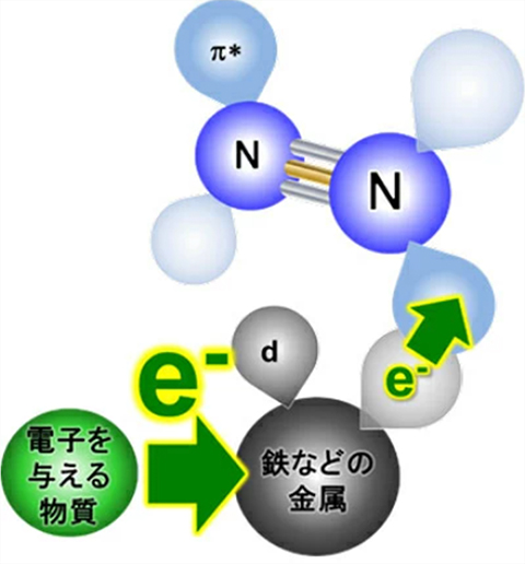 高性能な実用鉄触媒を活用した、低コストで省エネルギーなアンモニア合成の商業化に向けた覚書を締結